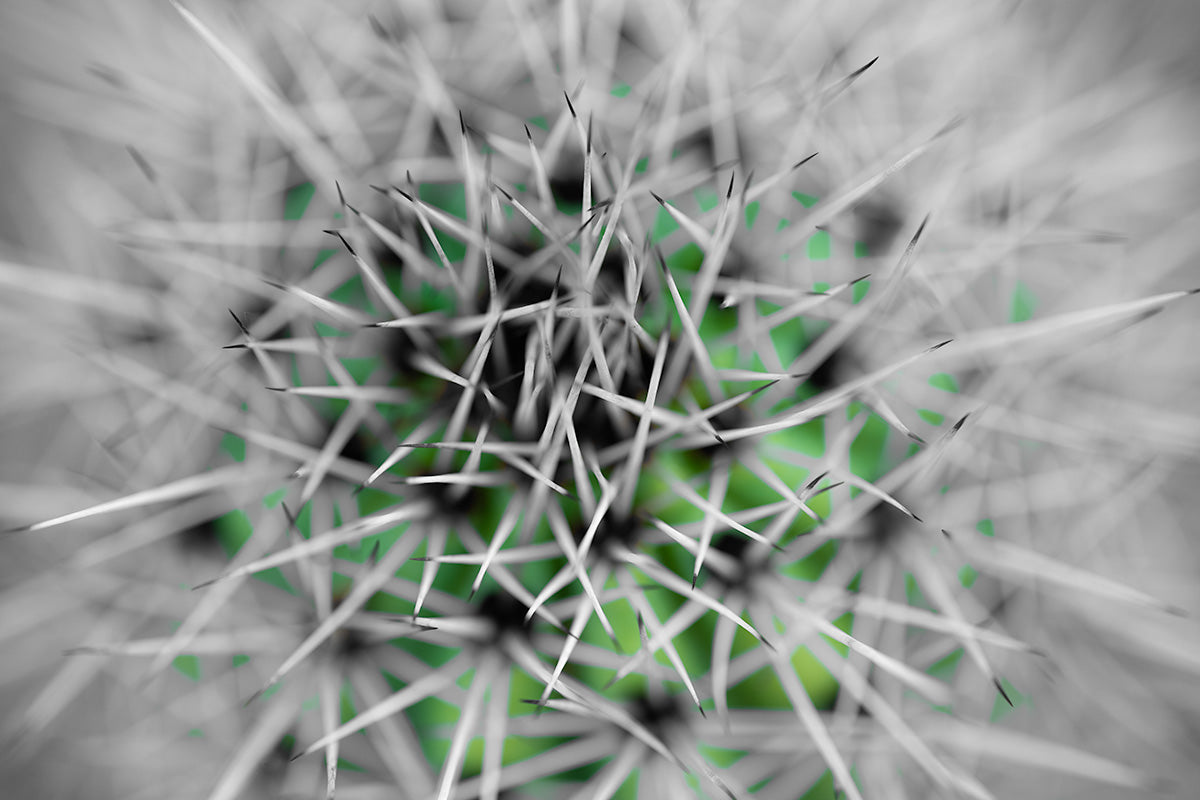 Protect The Green