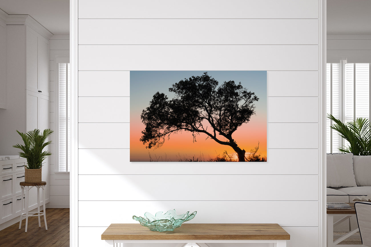 Santa Barbara Zenset