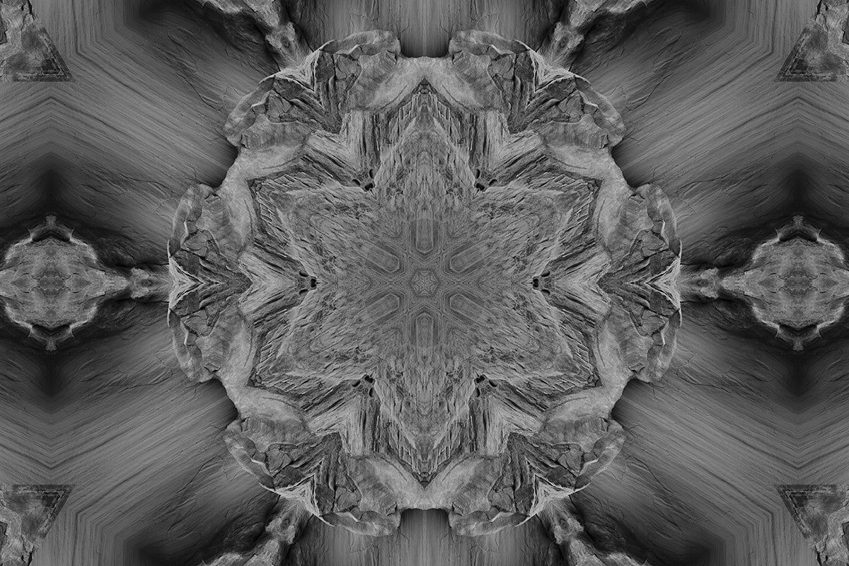 Enter The Void