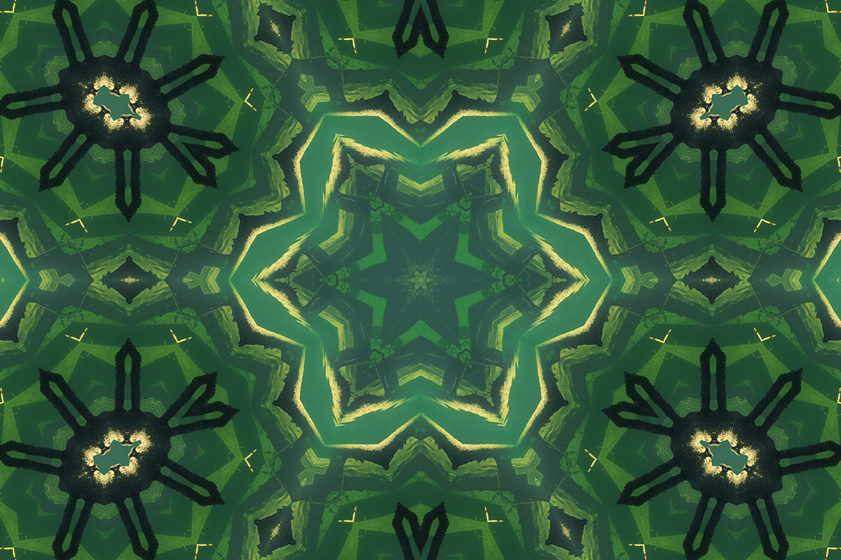 Algal Figures
