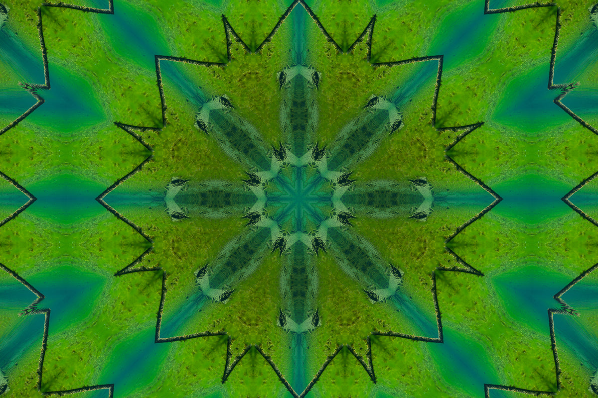 Green Immersion