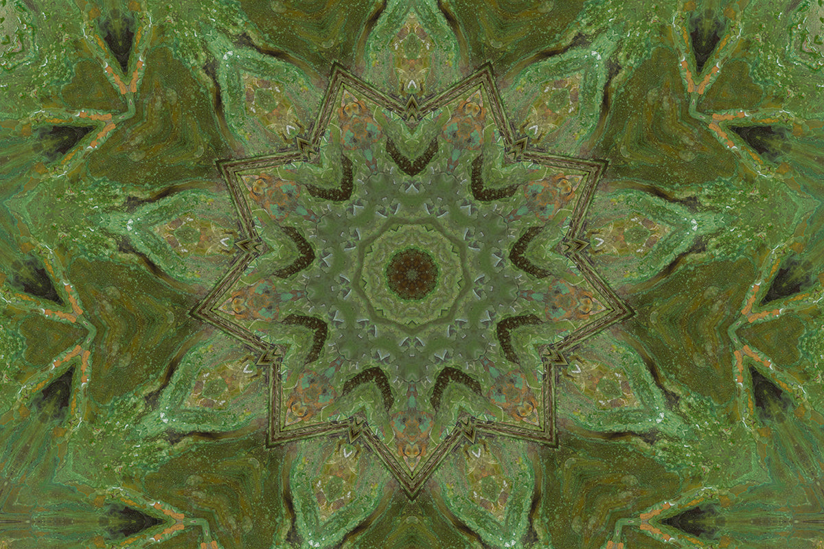 Green Doorways