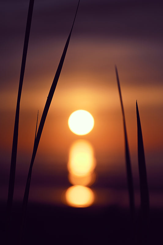 Inner Horizon