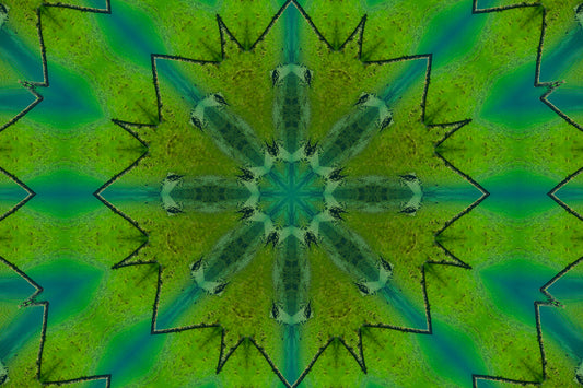 Green Immersion
