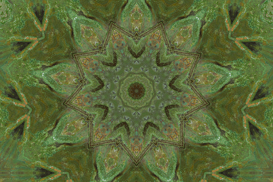 Green Doorways