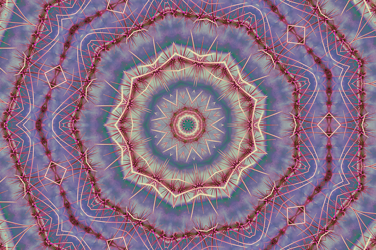 Concentric Cactus